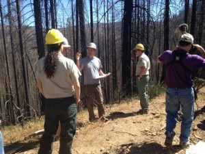 Yosemite Stanislaus Solutions and the Rim Fire