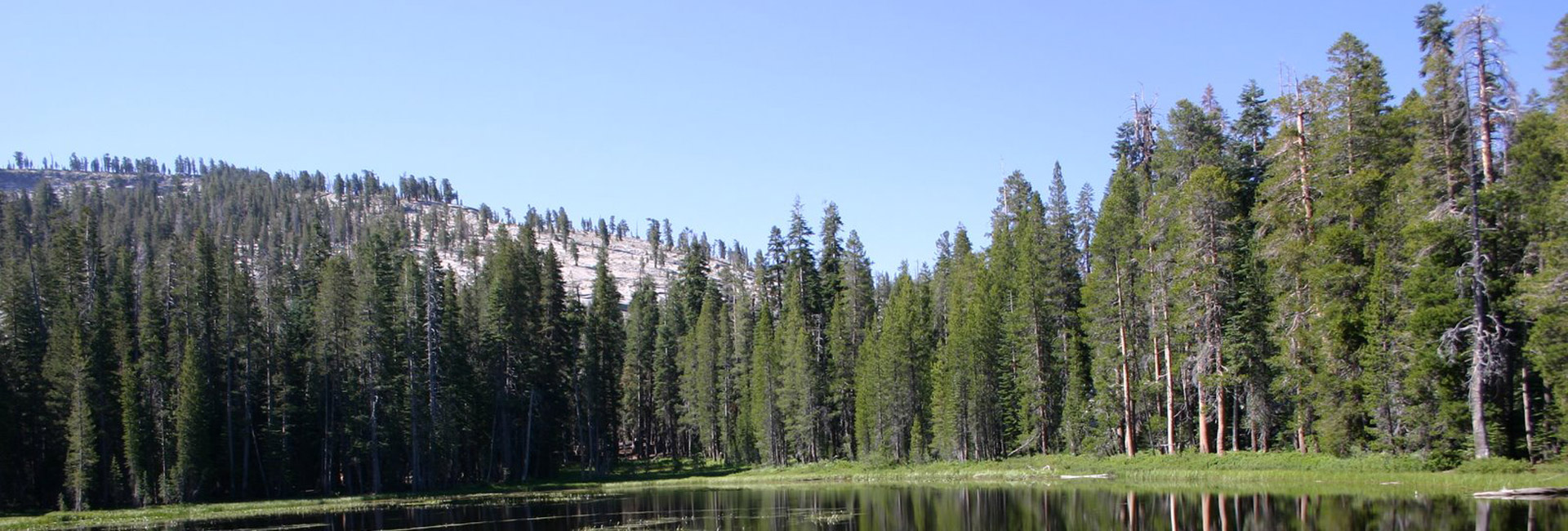 Yosemite Valley Floor