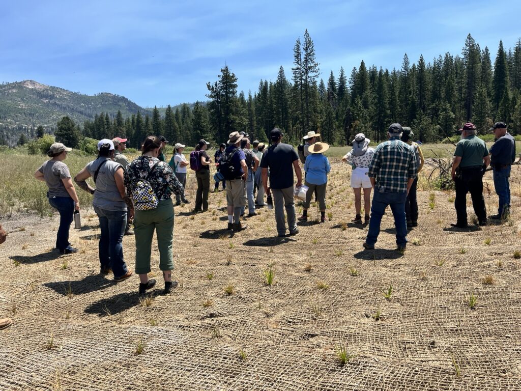 Photo of Ackerson Meadow Restoration Field Trip